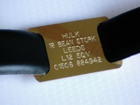 Brass Collar I.D. Tag  Free Engraving & Postage to UK
